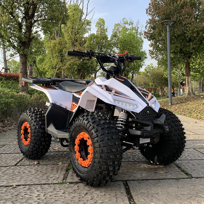 Outdoor Adventure Quad Biking - 125CC ATV、小型ファルコン全地形対応車、大人用オフロード四輪バイク、砂浜バギー、アウトドアアドベンチャー用、四輪駆動