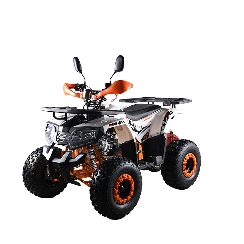 110cc CE EPA認証 ATV 大人用4輪クワッドバイ - Outdoor Adventure Quad Biking のレビューと価格