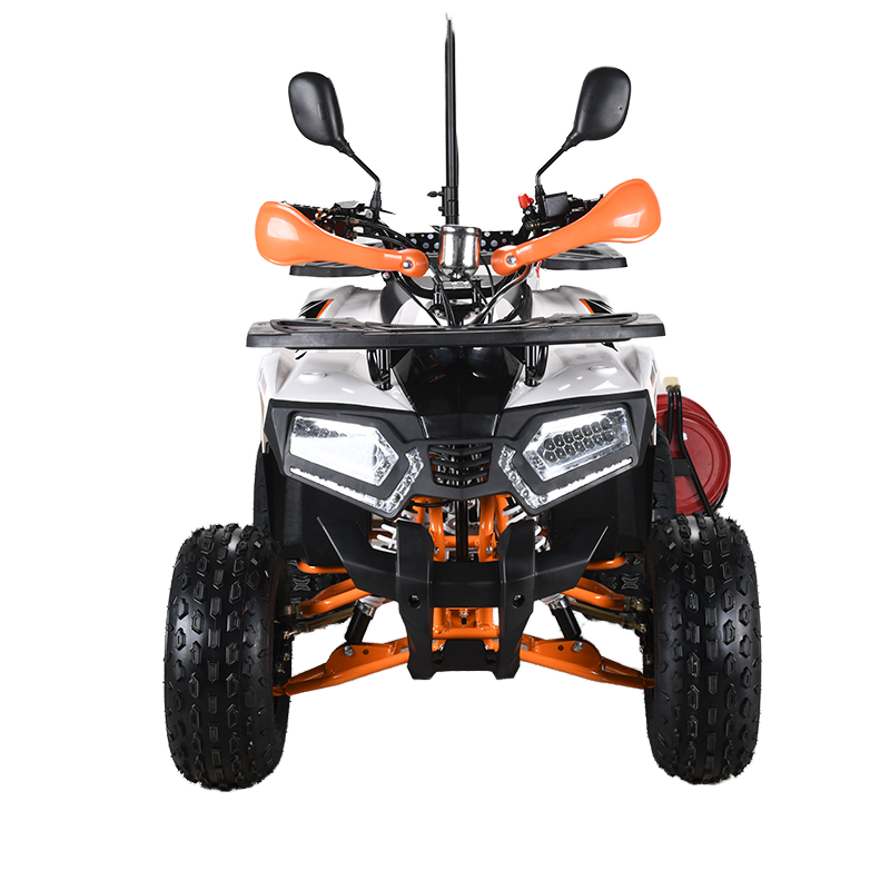 110cc CE EPA認証 ATV 大人用4輪クワッドバイ - Outdoor Adventure Quad Biking のレビューと価格