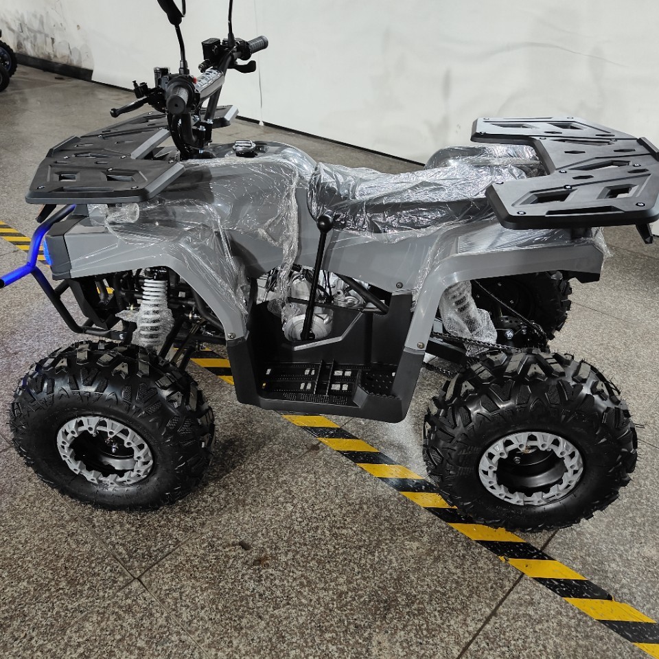 ATV 125cc、全地形対応クワッドバイク、オフロードビー - Outdoor Adventure Quad Biking のレビューと価格