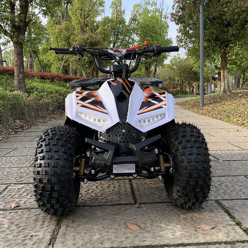 125CC ATV、小型ファルコン全地形対応車、大人用オフロ - Outdoor Adventure Quad Biking のレビューと価格