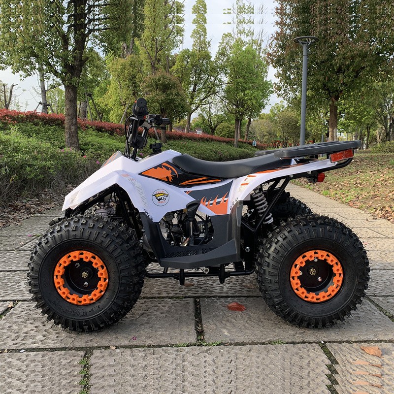 125CC ATV、小型ファルコン全地形対応車、大人用オフロ - Outdoor Adventure Quad Biking のレビューと価格