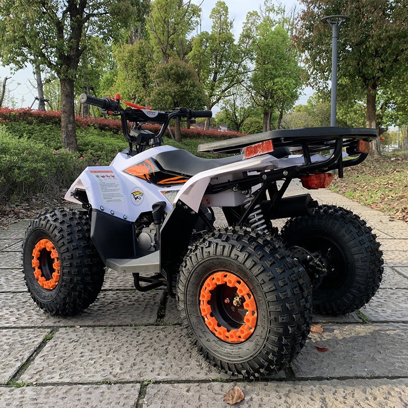 125CC ATV、小型ファルコン全地形対応車、大人用オフロ - Outdoor Adventure Quad Biking のレビューと価格