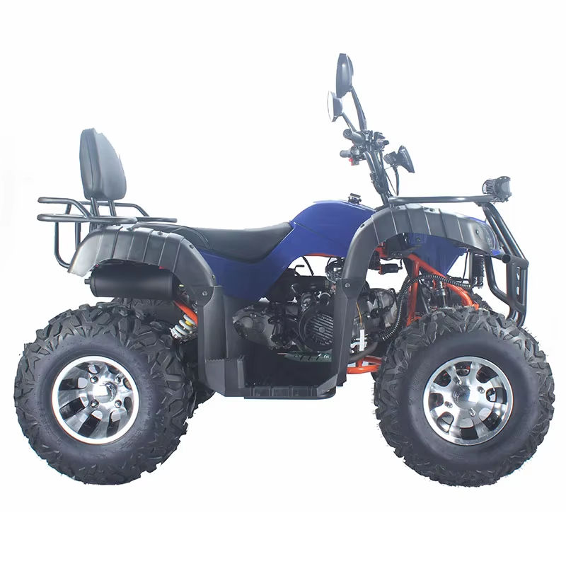 レーシング用大人向けデューンバギー、カスタム四輪ATVオフロ - Outdoor Adventure Quad Biking のレビューと価格