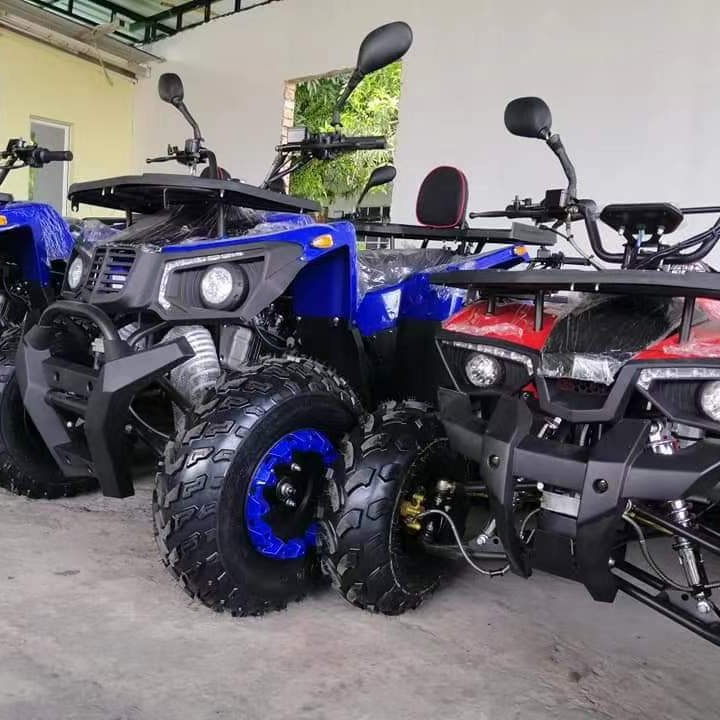 全地形対応サンドバギー 200CC GY6、大人用オフロード - Outdoor Adventure Quad Biking のレビューと価格