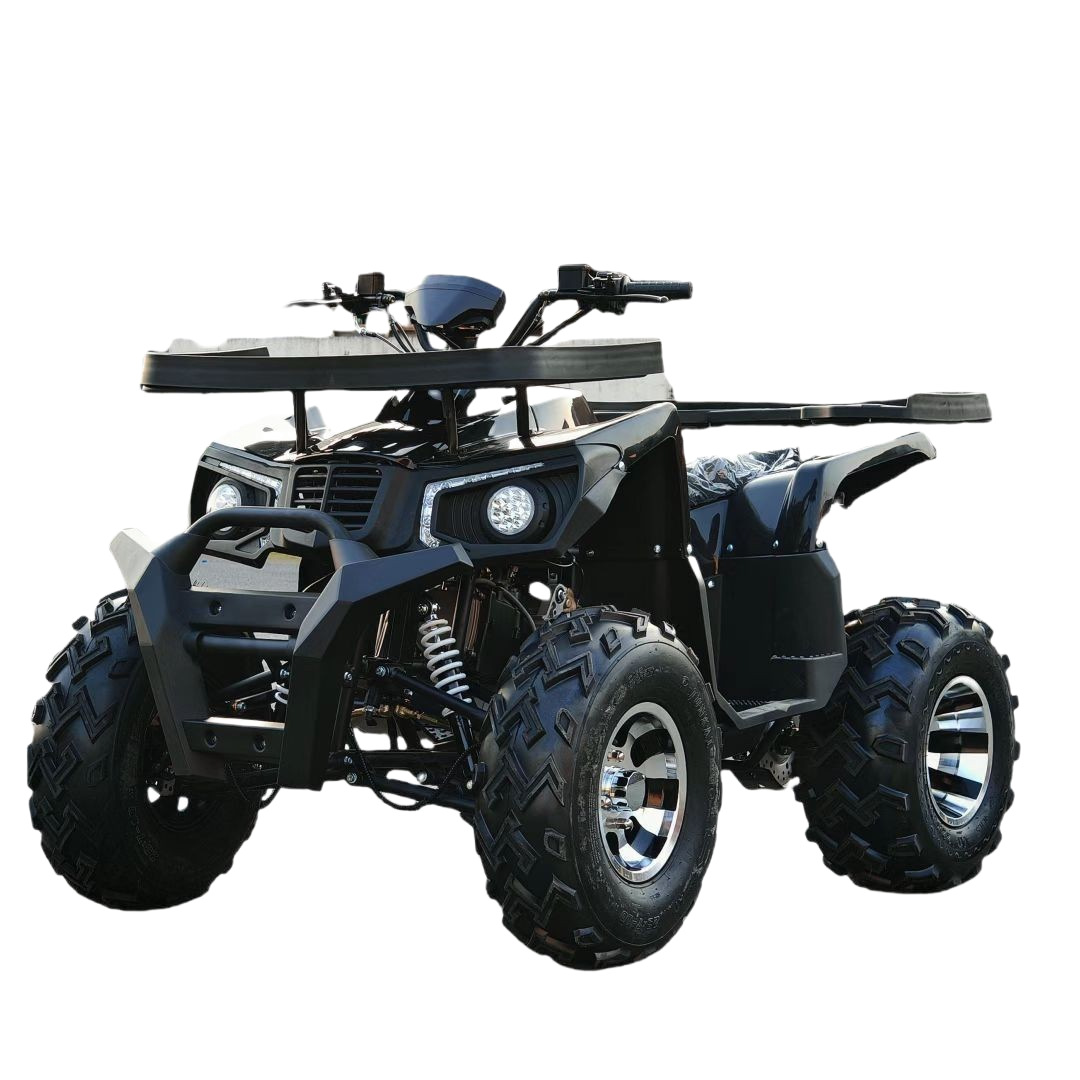 全地形対応サンドバギー 200CC GY6、大人用オフロード - Outdoor Adventure Quad Biking のレビューと価格